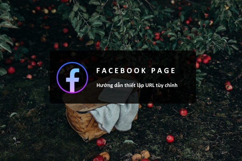 Hướng dẫn thiết lập URL tùy chỉnh cho Page Facebook